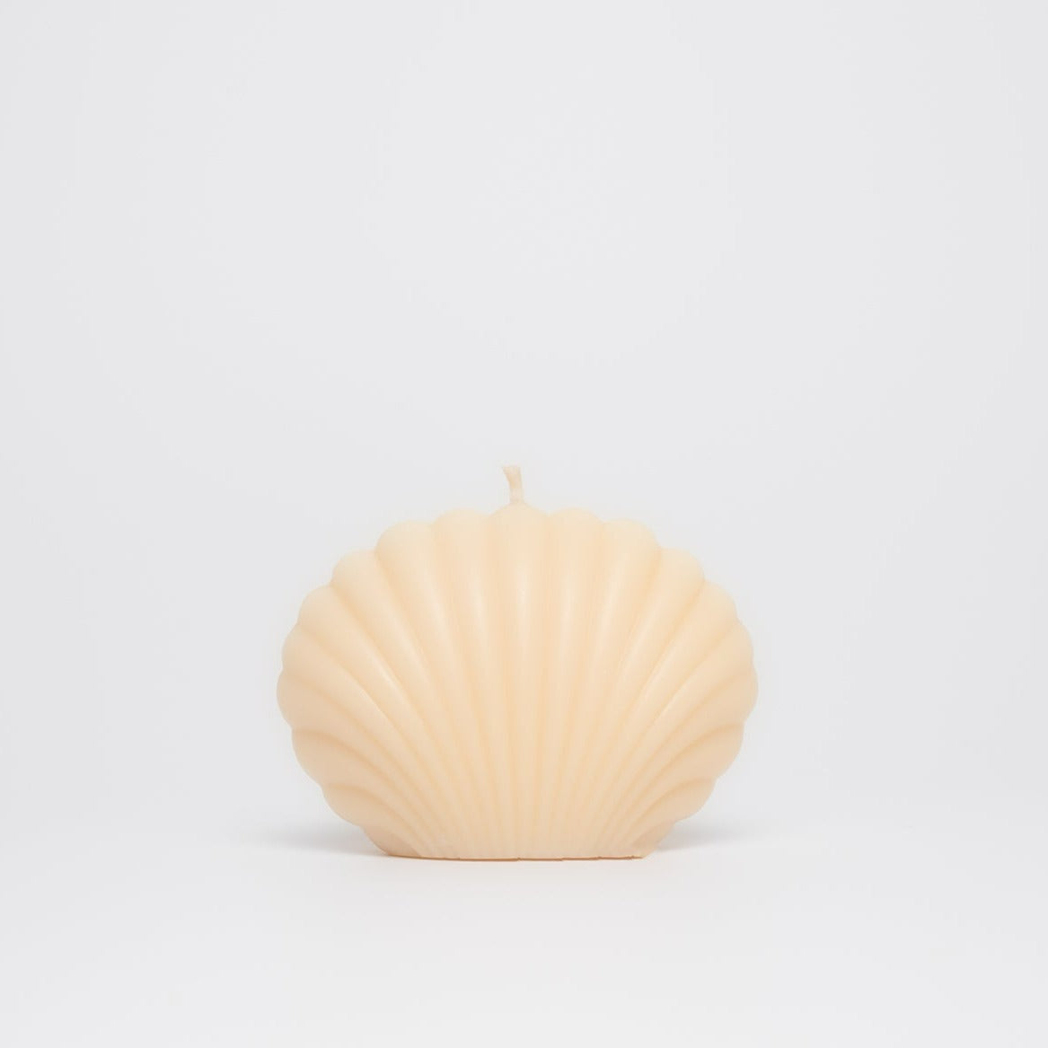 Shell Candle