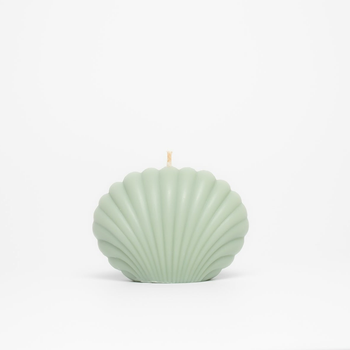 Shell Candle