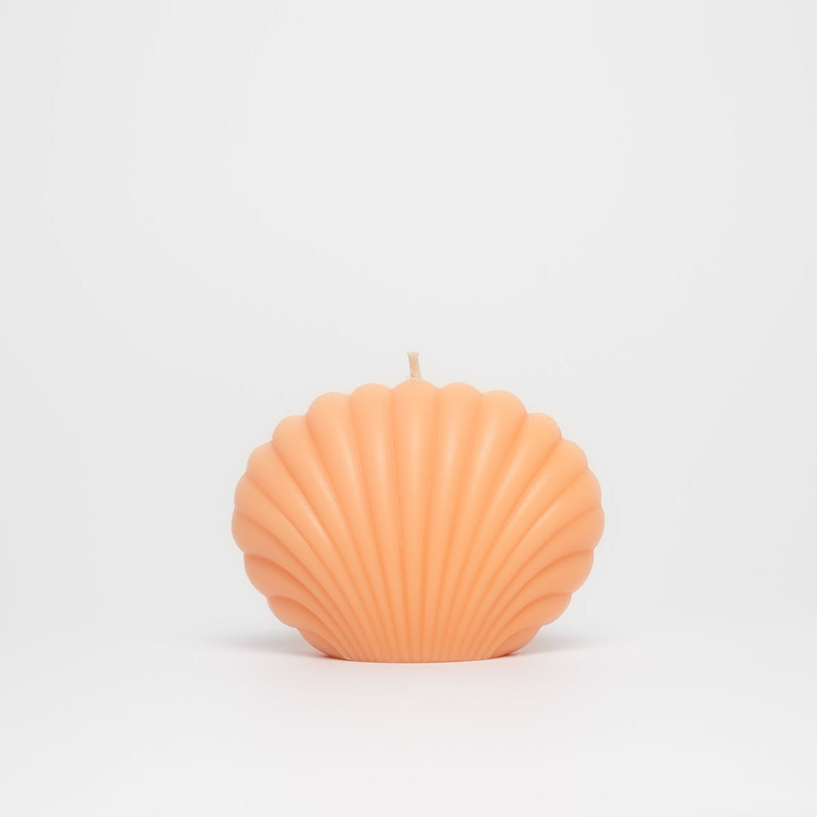 Shell Candle